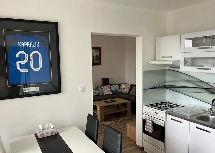 Big 3 Separate Rooms Convenient City Haven !